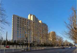 新疆全新山地作业机械