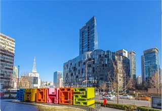 重庆青咖喱批发