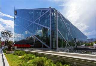 滁州南高丛蓝莓蓝莓苗多少钱